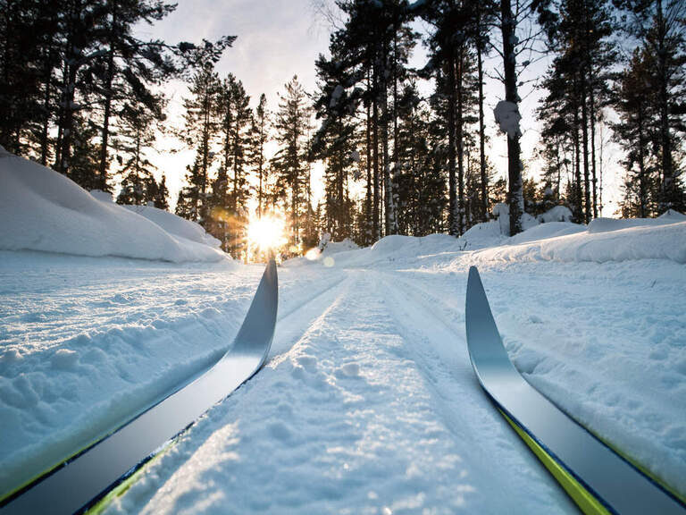 ski laufen langlauf ski fahren harz winterwald