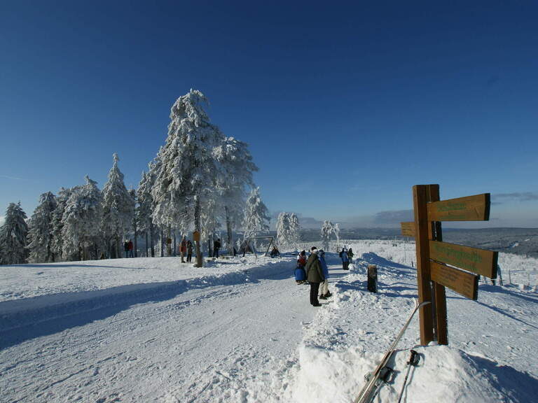 winter harz winterwald harz schnee blauer himmel winterwunderwald wegweiser