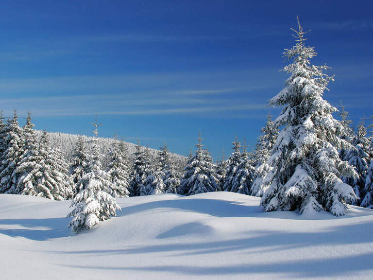 harz im winter schneebedeckt winter landschaft